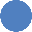 Icon 11